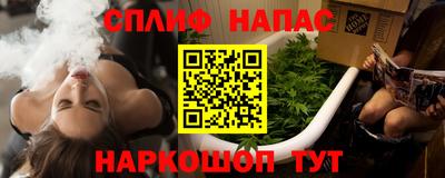 ешки Будённовск
