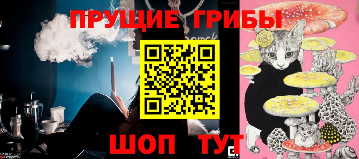 Псилоцибиновые грибы ЛСД Каспийск