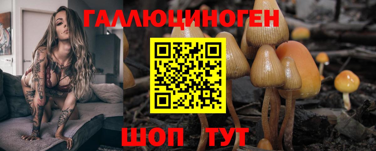 Галлюциногенные грибы ЛСД  Вход с VPN  Каспийск 